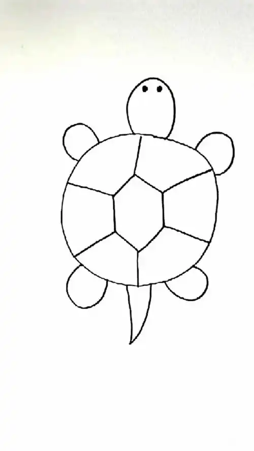 教你们简单地画一只小乌龟.