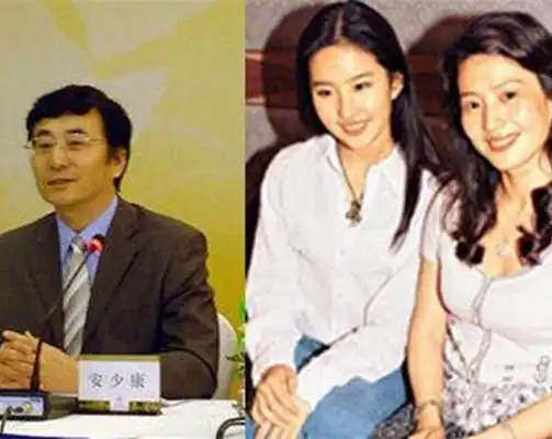 【图】揭秘刘亦菲妈妈和陈金飞的关系 系因刘生父而捧红