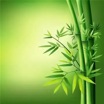 适合春天的头像图片高清适合春天微信头像合集