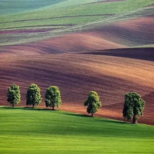 瑞士草原 - martin rak#这草原比windows壁纸好看