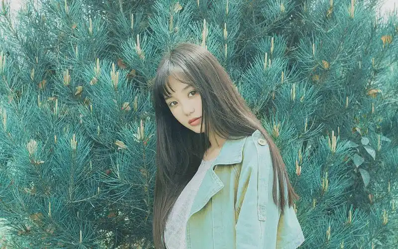 长发森系美女写真桌面壁纸