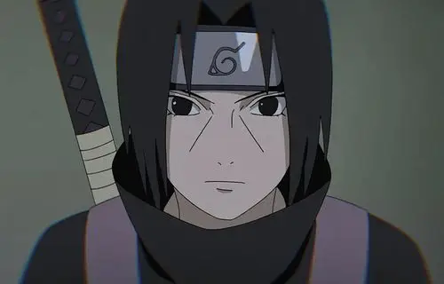 鼬- 堆糖,美图壁纸兴趣社区