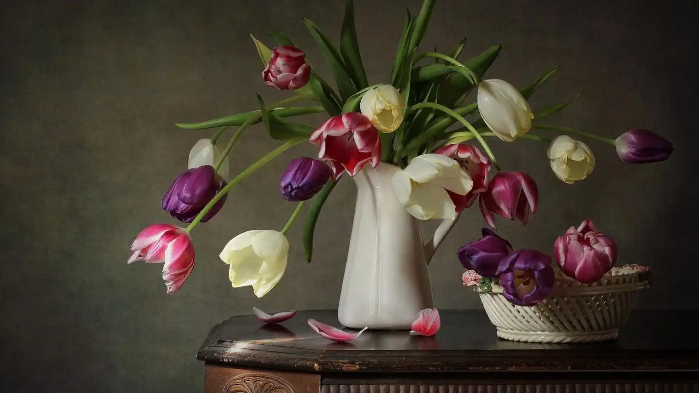 献给阿尔吉侬的花束