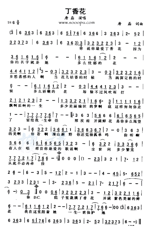 丁香花 简谱