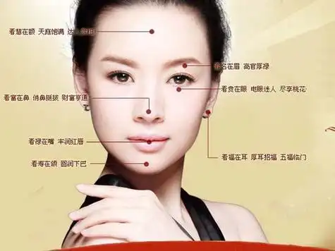 十种女人下巴面相图解 - 搜狗图片搜索