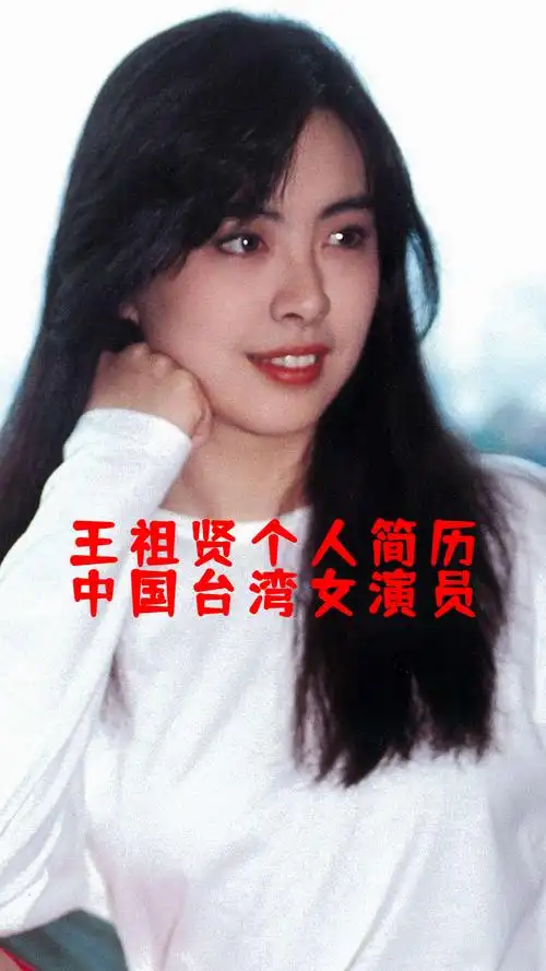 王祖贤个人简历中国台湾女演员