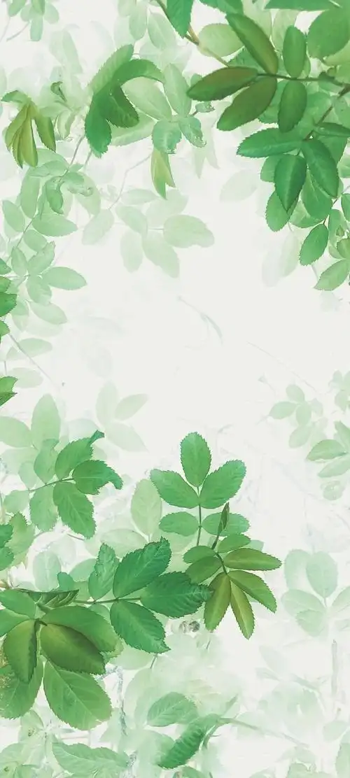 绿色护眼森系手机壁纸