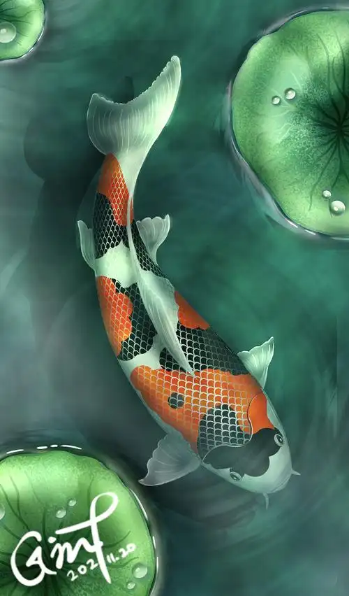 鲤鱼|插画|创作习作|ginty - 原创作品 - 站酷 (zcool)