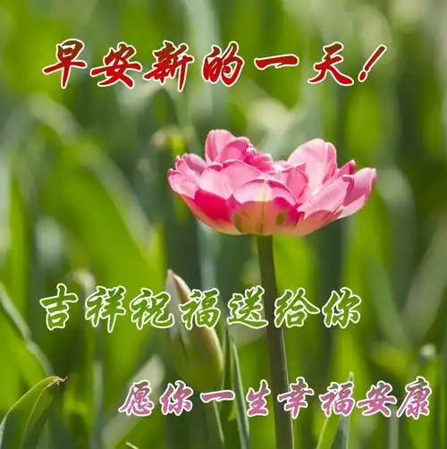 送你健康平安吉祥!愿你的每一天都充满幸福,好运连连