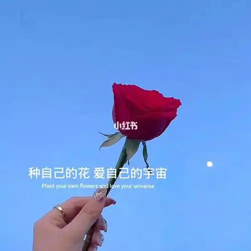 普普通通的你,也值得被万般宠溺, 做个温柔的人,好好生活 ,每天都会更