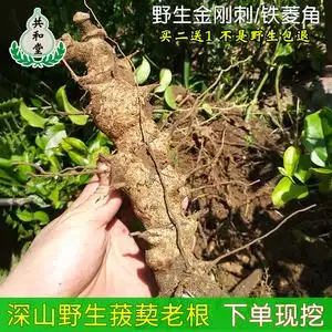 深山现挖新鲜菝葜野生铁菱角中药材金刚刺根泡酒山菱角铁刺苓500g