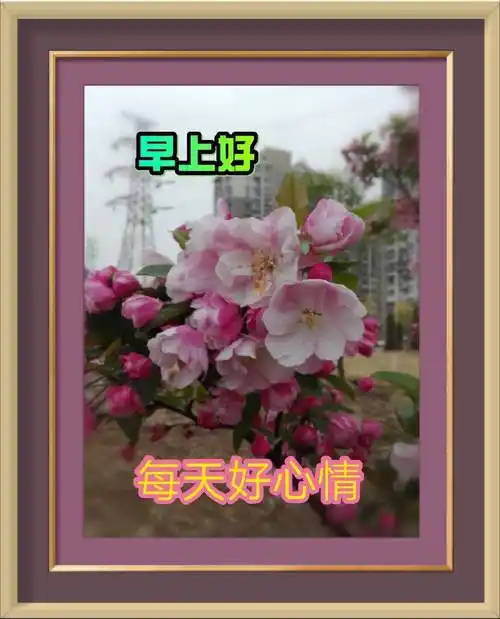 早上好!表情包编辑.制作.雨