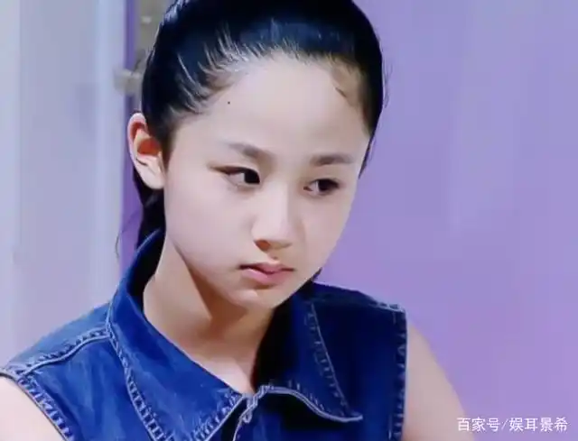 杨紫(夏雪,胡湘湘,邱莹莹,锦觅,佟年) 夏雪,《家有儿女》 小雪是个