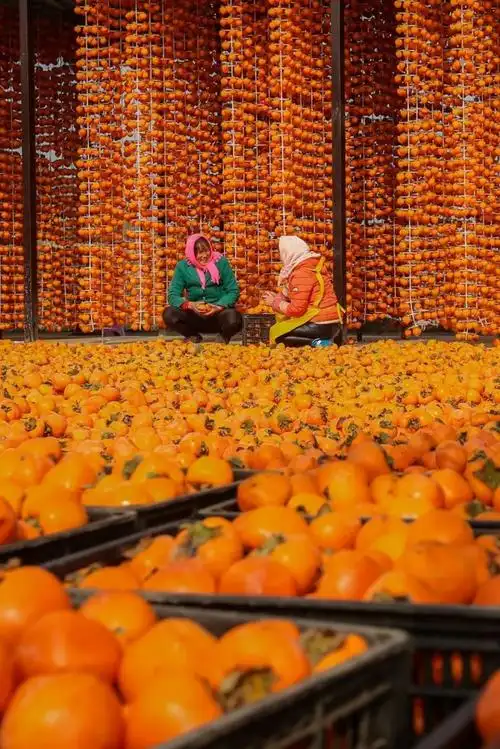 14亿中国人的丰收地图