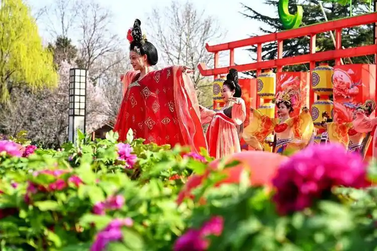 4月1日开幕!第41届中国洛阳牡丹文化节活动发布_时间_地点_系列