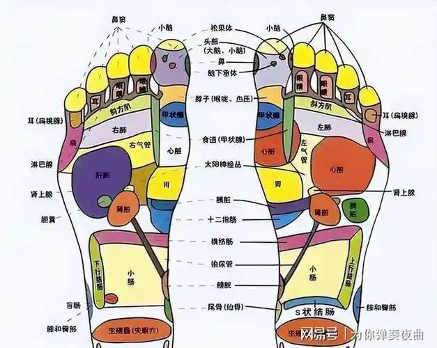 7个信号告诉你免疫力正在走下坡路做好3件事提升免疫力