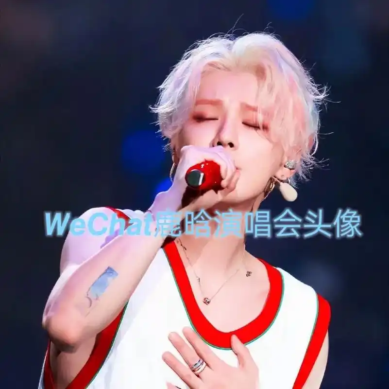 鹿晗演唱会舞台头像来啦,内娱神颜# - 抖音