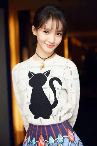 金晨 极品家丁发布会-堆糖,美好生活研究所