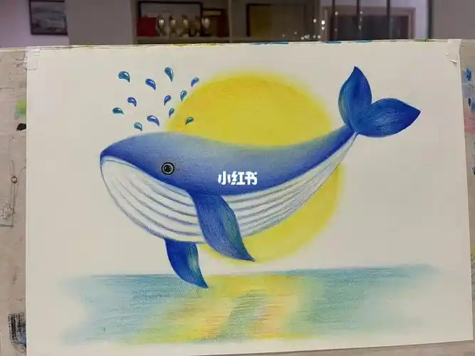 鲸鱼  #彩铅  #涂涂抹抹