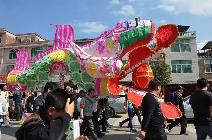 福建连城姑田游大龙
