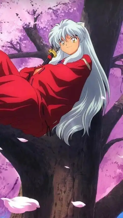 犬夜叉❤️-堆糖,美好生活研究所