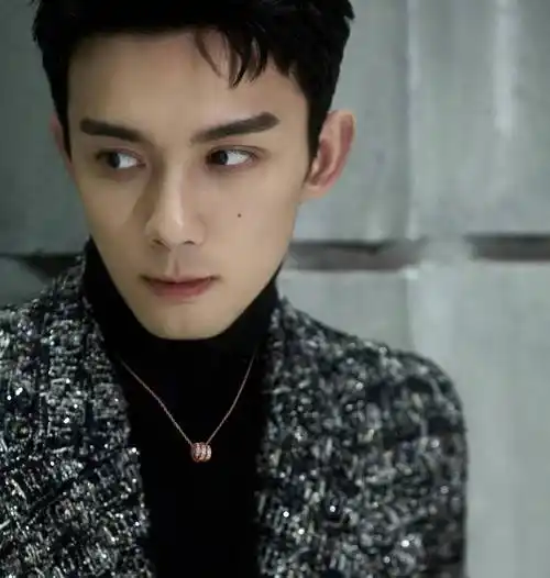 吴磊同款——是这款bvlgari 宝格丽灵蛇项链吗?