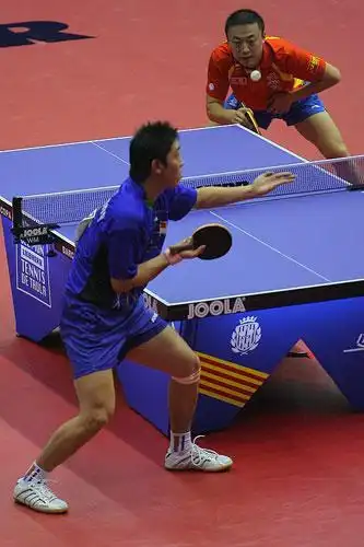 诈骗世界冠军和姨父320万|张笑|赵卫国|乒乓球|杨晓东|张怡宁_网易