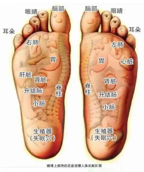 讲真如果你能坚持自己用反射疗法减肥两个月就能见效