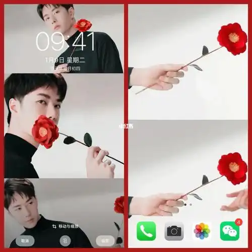 王一博壁纸送你玫瑰花