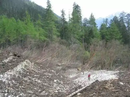 探秘西藏最神秘的树葬习俗地区卓龙沟