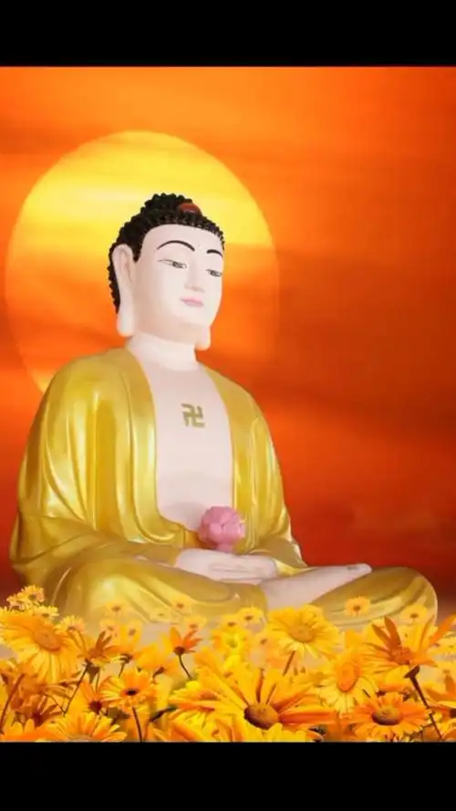 感恩大众信任支持05 感恩所有一切遇见05 南无阿弥陀佛05