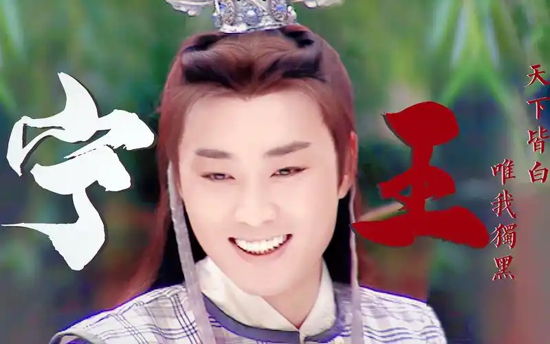 沈晓海宁王卡点向燃向赏颜向点进来不后悔系列