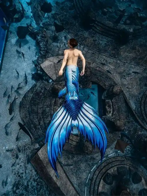 亚特兰蒂斯人鱼王国总会有一条蓝色美人鱼