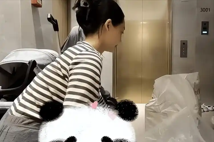 混了10年才演女主角,刚走红就结婚的苗苗,怀2胎挺大肚独自产检_郑恺