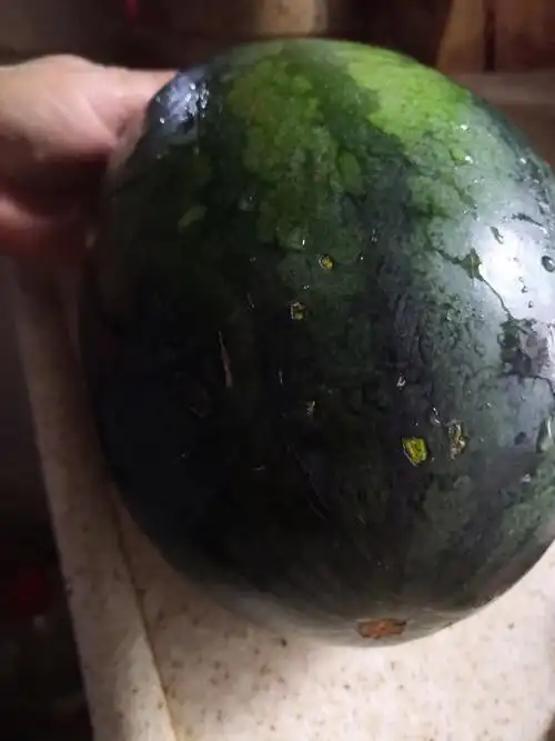 西瓜