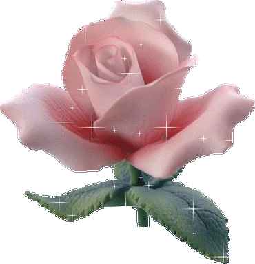 390_405gif 动态图 动图