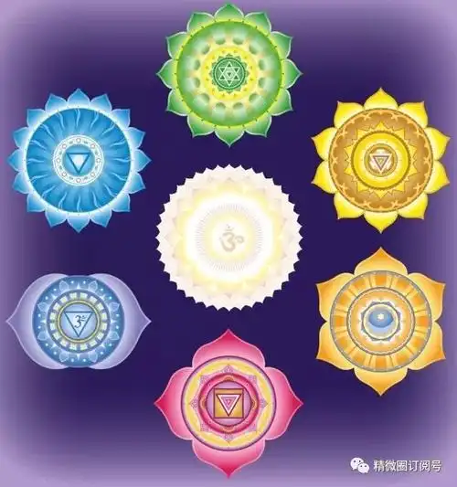 沿着身体中线排列着七个能量中枢, 这七个像轮子一样转动的能量中枢