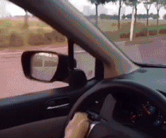 金毛开车 gif_gif_金毛_开车表情