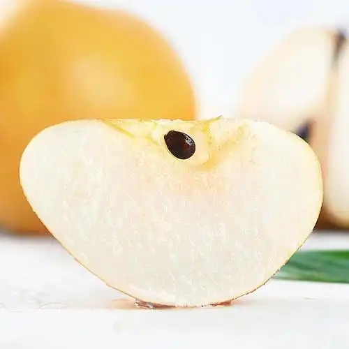 正宗山东秋月梨羊脂新鲜冰糖水果梨比南水莱阳梨10斤礼盒超甜5斤