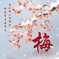 微信头像梅花点击鼠标右键下载