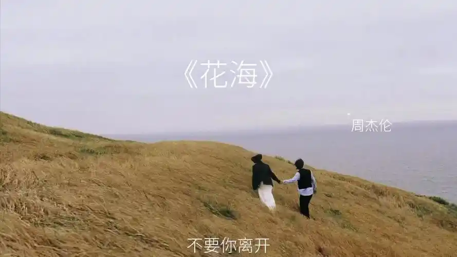 花海花海周杰伦翻唱