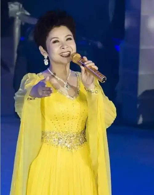 董文华:连登舞台13年,2000年因"绯闻"跌落神坛,如今怎样了