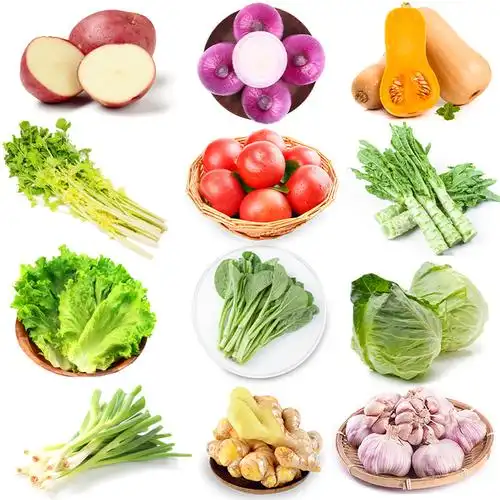 新鲜蔬菜11斤组合套装9种蔬菜3种配菜生鲜守沪区域专供100份起送