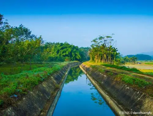 乡村----水渠也是风景