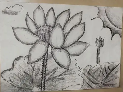 【一诺书画】龙泉东校二年级卡通素描〈荷花〉