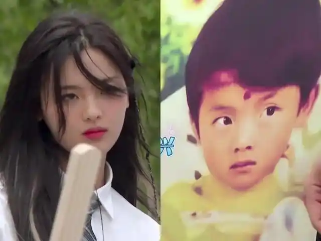 张彬彬小时候张彬彬小时候