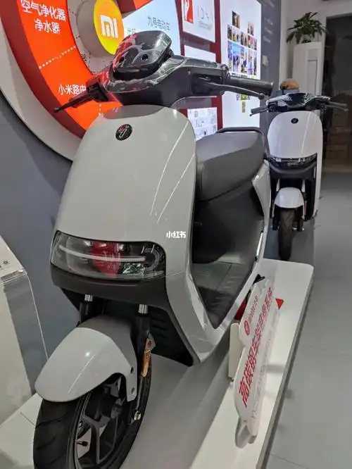 小米九号智能电动车e200p少量现货#九号电动车