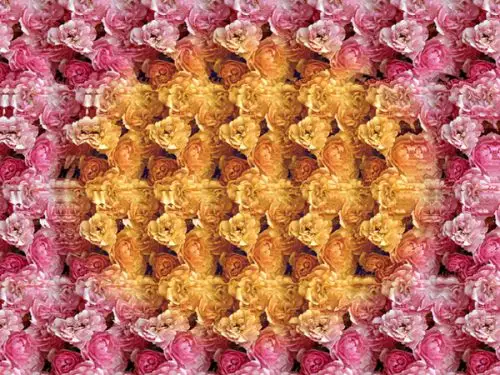 三维立体图:一朵花