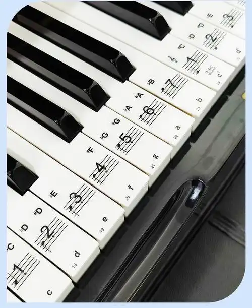 akusticus钢琴键盘贴纸电子琴透明贴膜五线谱简谱音名贴按键音标键位