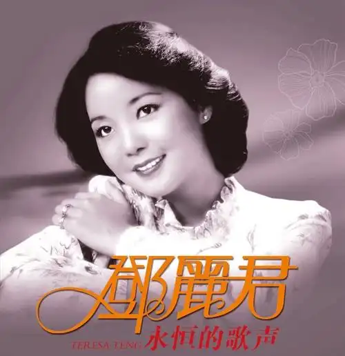 {精选好货}适用于汽车载u盘邓丽君歌曲专辑32g经典老歌视频音乐优盘